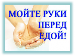Всемирный день мытья рук - праздник Мойдодыра!