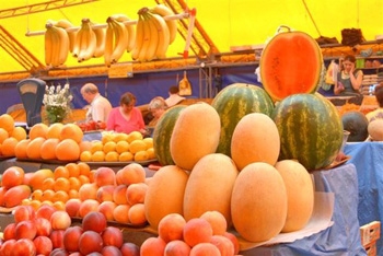 Дыня - друг и помощник нашему организму