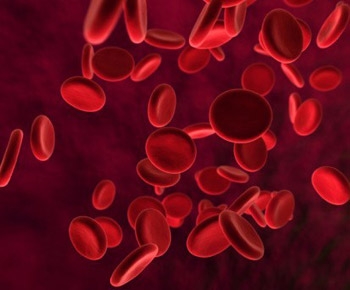 Злокачественные заболевания крови – методы лечения и профилактики