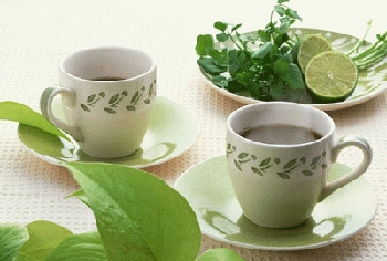 Этот волшебный напиток – зелёный чай